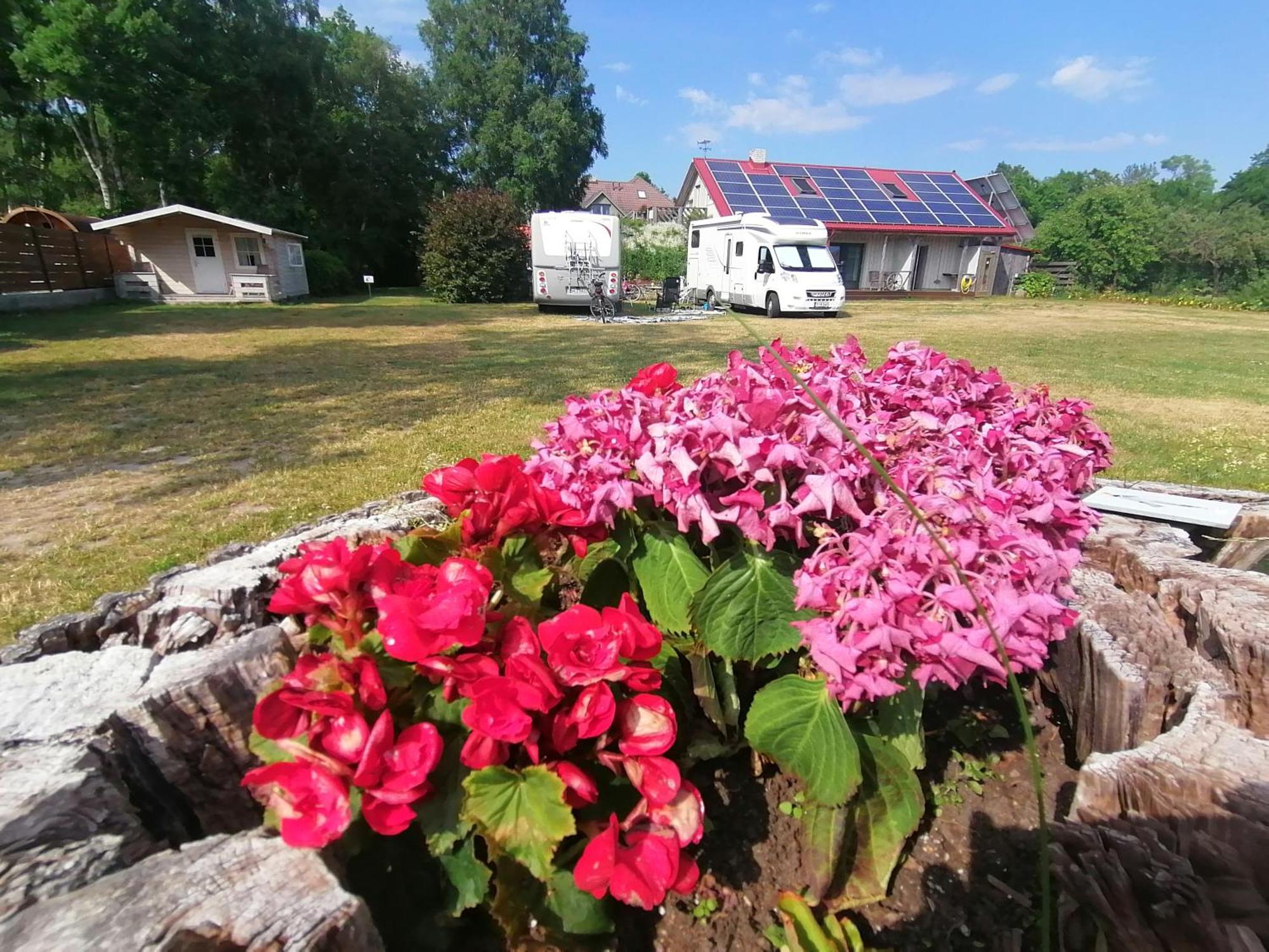 Piibelehe Guest Accommodation Kuressaare Eksteriør bilde